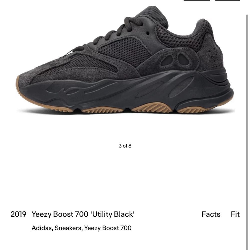 Yeezy Boost 700